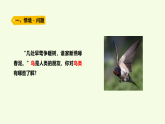 青島版（六三制）小學(xué)科學(xué)三年級(jí)上冊(cè) 3 鳥(niǎo)（課件）