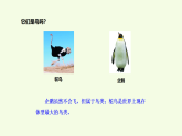 青島版（六三制）小學(xué)科學(xué)三年級(jí)上冊(cè) 3 鳥(niǎo)（課件）