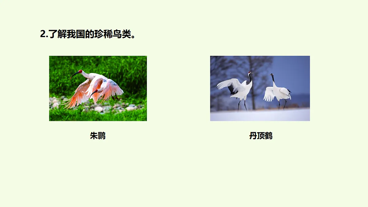17252181第6页