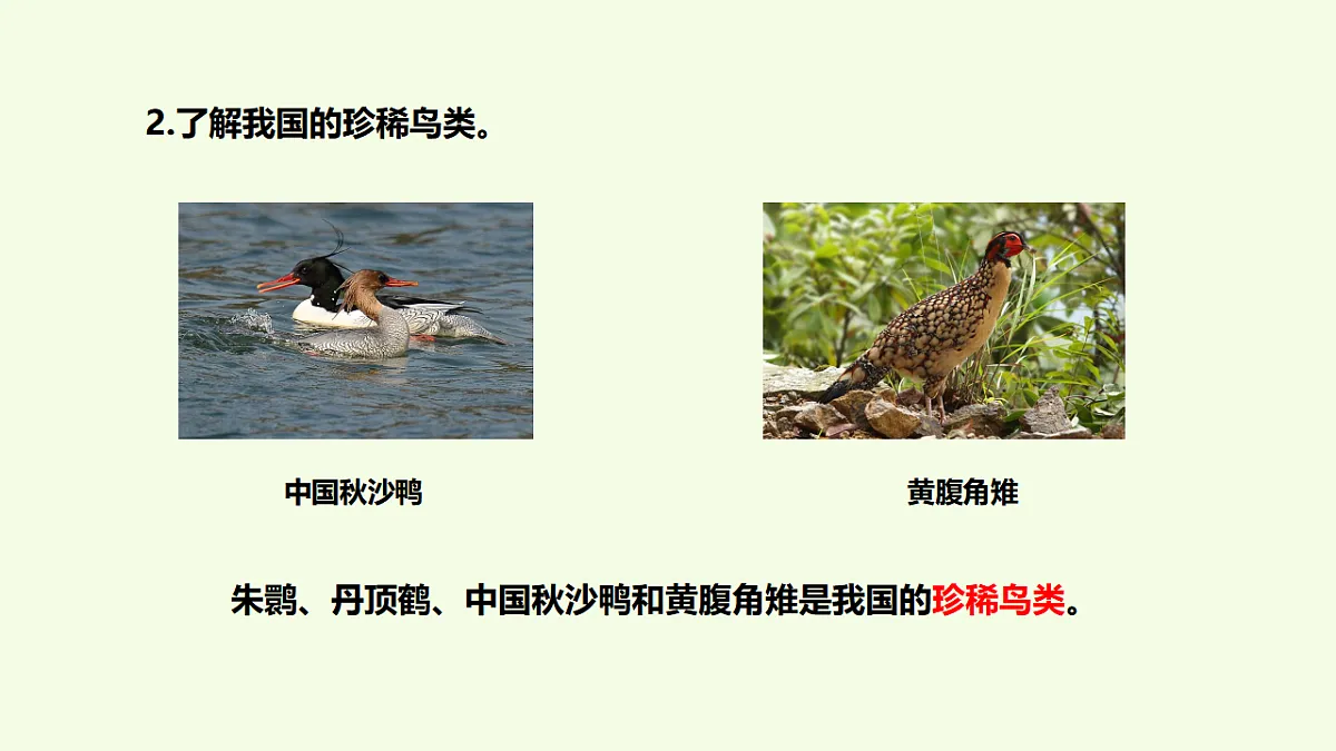 17252181第7页