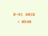 青島版（六三制）小學(xué)科學(xué)三年級(jí)上冊(cè) 4 哺乳動(dòng)物（課件）