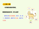 青島版（六三制）小學(xué)科學(xué)三年級(jí)上冊(cè) 4 哺乳動(dòng)物（課件）