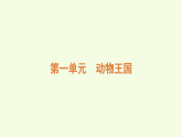 青島版（六三制）小學(xué)科學(xué)三年級(jí)上冊(cè) 第一單元復(fù)習(xí)（課件）