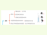 青島版（六三制）小學(xué)科學(xué)三年級(jí)上冊(cè) 第二單元復(fù)習(xí)（課件）