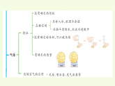 青島版（六三制）小學(xué)科學(xué)三年級(jí)上冊(cè) 第二單元復(fù)習(xí)（課件）