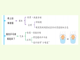 青島版（六三制）小學(xué)科學(xué)三年級(jí)上冊(cè) 第三單元復(fù)習(xí)（課件）