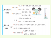 青島版（六三制）小學(xué)科學(xué)三年級(jí)上冊(cè) 第三單元復(fù)習(xí)（課件）