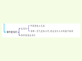 青島版（六三制）小學(xué)科學(xué)三年級(jí)上冊(cè) 第三單元復(fù)習(xí)（課件）