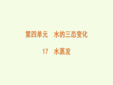 青島版（六三制）小學(xué)科學(xué)三年級上冊 17 水蒸發(fā)（課件）