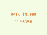 青島版（六三制）小學(xué)科學(xué)三年級上冊 19 水蒸氣凝結(jié)（課件）