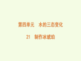 青島版（六三制）小學(xué)科學(xué)三年級上冊 21 制作冰琥珀（課件）