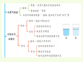 青島版（六三制）小學科學三年級上冊 第四單元復習（課件）