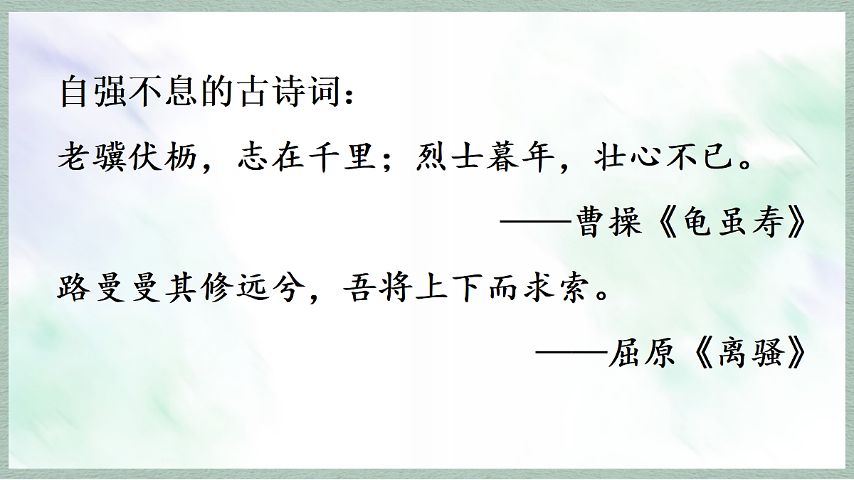 17253530第5页