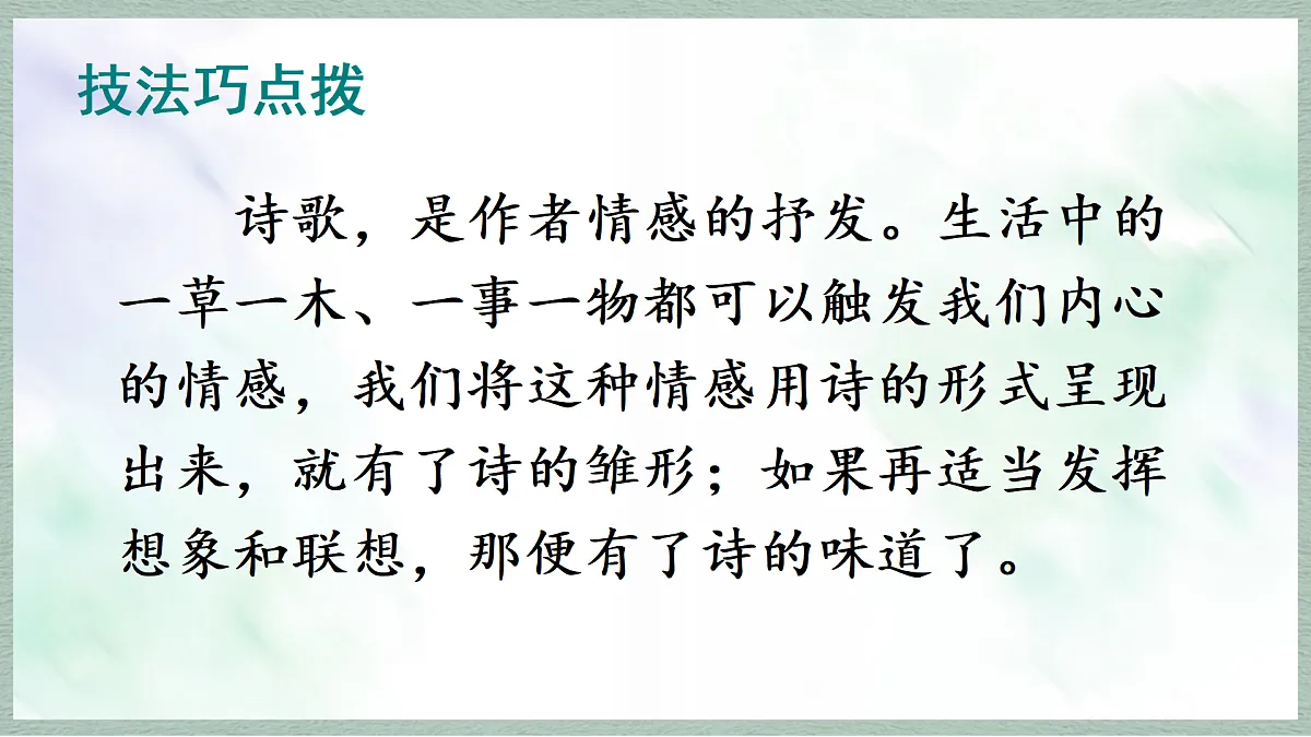 17253531第3页