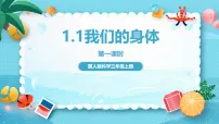 冀人版（2024）三年级上册（2024）第一单元 奇妙的身体1 我们的身体优秀ppt课件
