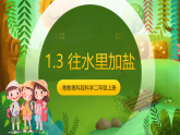 粵教粵科版（2024）科學(xué)二上 1.3《往水里加鹽》課件
