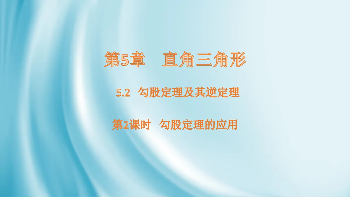 17254361第1页