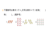 小學(xué)數(shù)學(xué)新人教版二年級(jí)上冊(cè)第二單元1第二課時(shí)　乘法的初步認(rèn)識(shí)（2）作業(yè)課件（含答案）（2025秋新版）