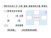 小學數(shù)學新人教版二年級上冊校園小導游第2課時　校園小導游作業(yè)課件（含答案）（2025秋新版）