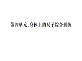 小學(xué)數(shù)學(xué)新人教版二年級上冊第四單元、身體上的尺子綜合訓(xùn)練作業(yè)課件（含答案）（2025秋新版）