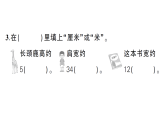 小學(xué)數(shù)學(xué)新人教版二年級上冊第四單元、身體上的尺子綜合訓(xùn)練作業(yè)課件（含答案）（2025秋新版）