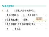小學(xué)數(shù)學(xué)新人教版二年級(jí)上冊(cè)第六單元第三課時(shí)　圖形的位置與測(cè)量作業(yè)課件（含答案）（2025秋新版）