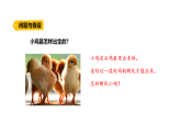 3.1《孵化小雞》（課件）2025-2026學(xué)年大象版三年級(jí)科學(xué)上冊(cè)