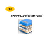 3.1《孵化小雞》（課件）2025-2026學(xué)年大象版三年級(jí)科學(xué)上冊(cè)