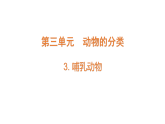 3.3《哺乳動(dòng)物》（課件）2025-2026學(xué)年大象版三年級(jí)科學(xué)上冊(cè)