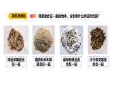 4.5《混合物體的分離》（課件）2025-2026學(xué)年大象版三年級(jí)科學(xué)上冊(cè)