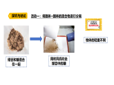 4.5《混合物體的分離》（課件）2025-2026學(xué)年大象版三年級(jí)科學(xué)上冊(cè)