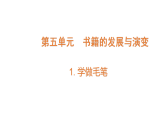 5.1《學(xué)做毛筆》（課件）2025-2026學(xué)年大象版三年級(jí)科學(xué)上冊(cè)