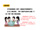 2.3《風(fēng)的形成》（課件）2025-2026學(xué)年大象版三年級(jí)科學(xué)上冊(cè)