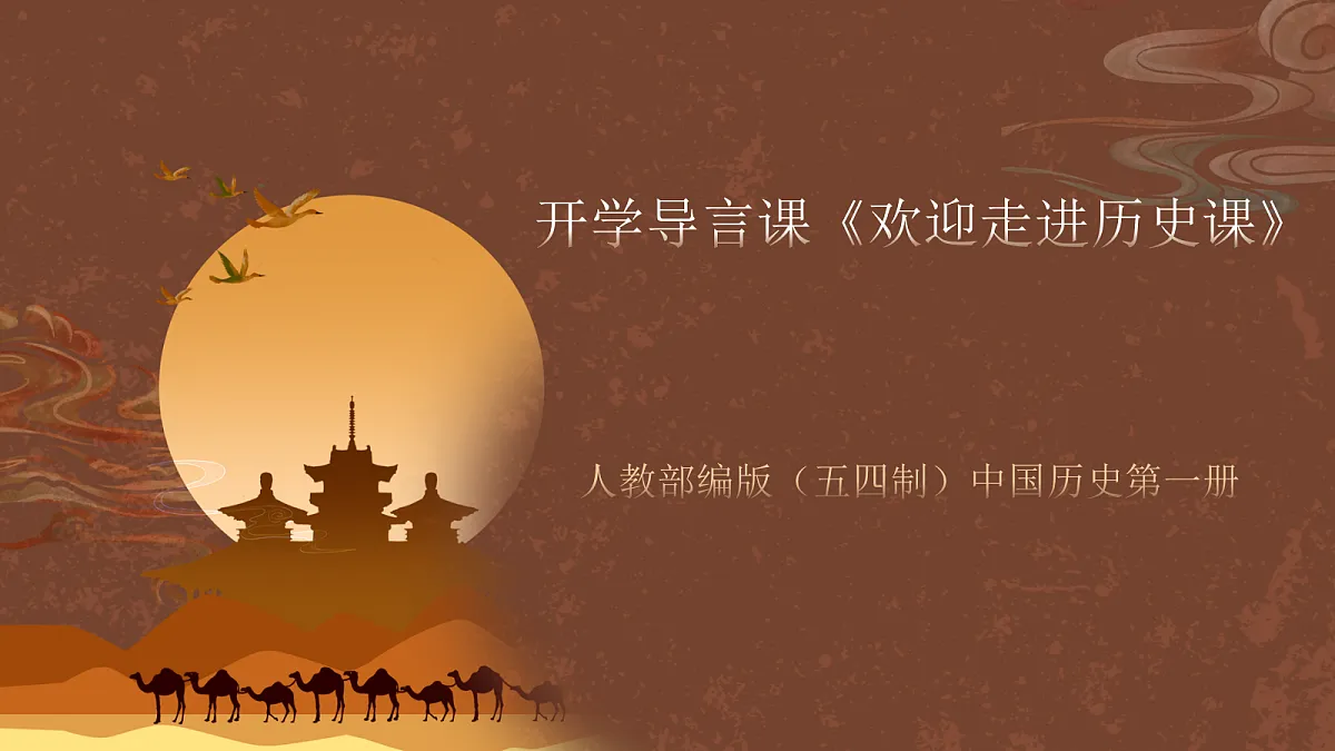 17254557第1页