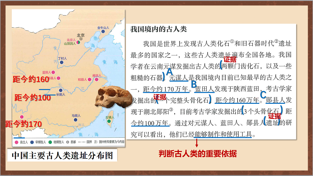 17254558第5页