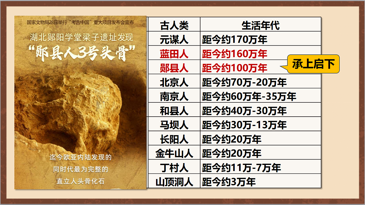 17254558第7页