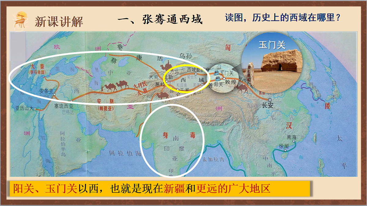17254573第3页