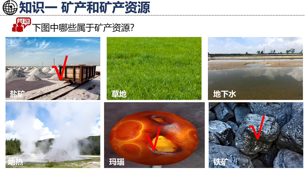 17254787第5页