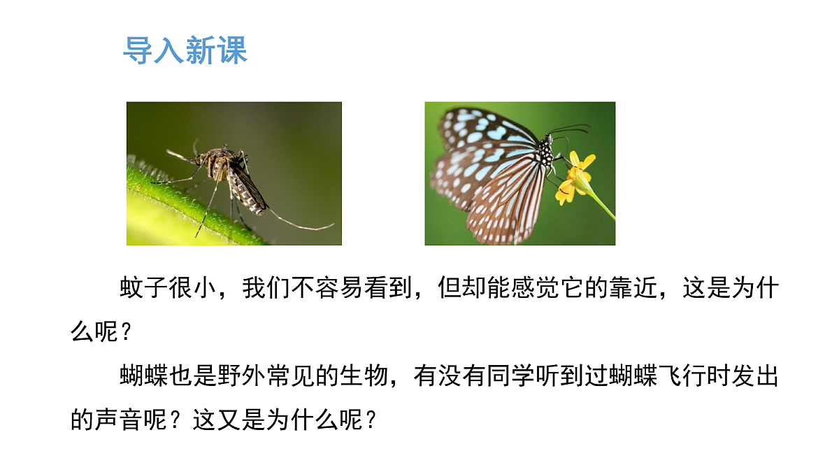 17254897第3页