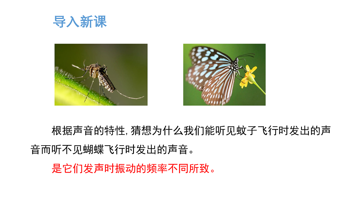 17254897第4页