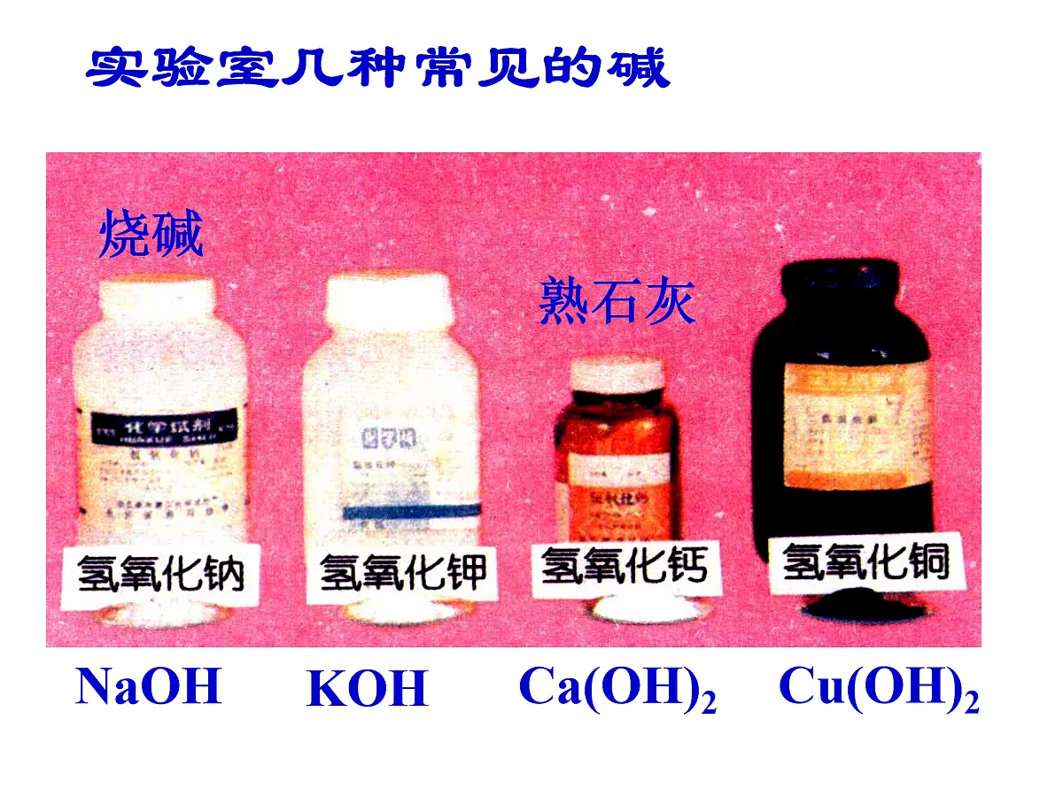 17254953第8页