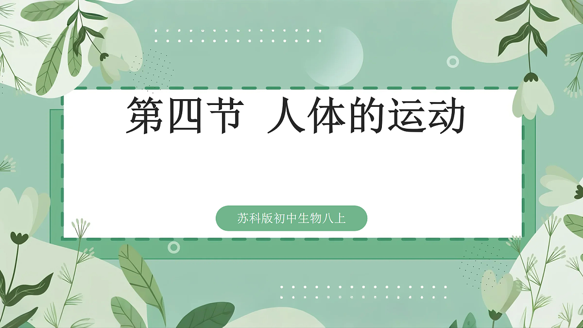 17254982第2页
