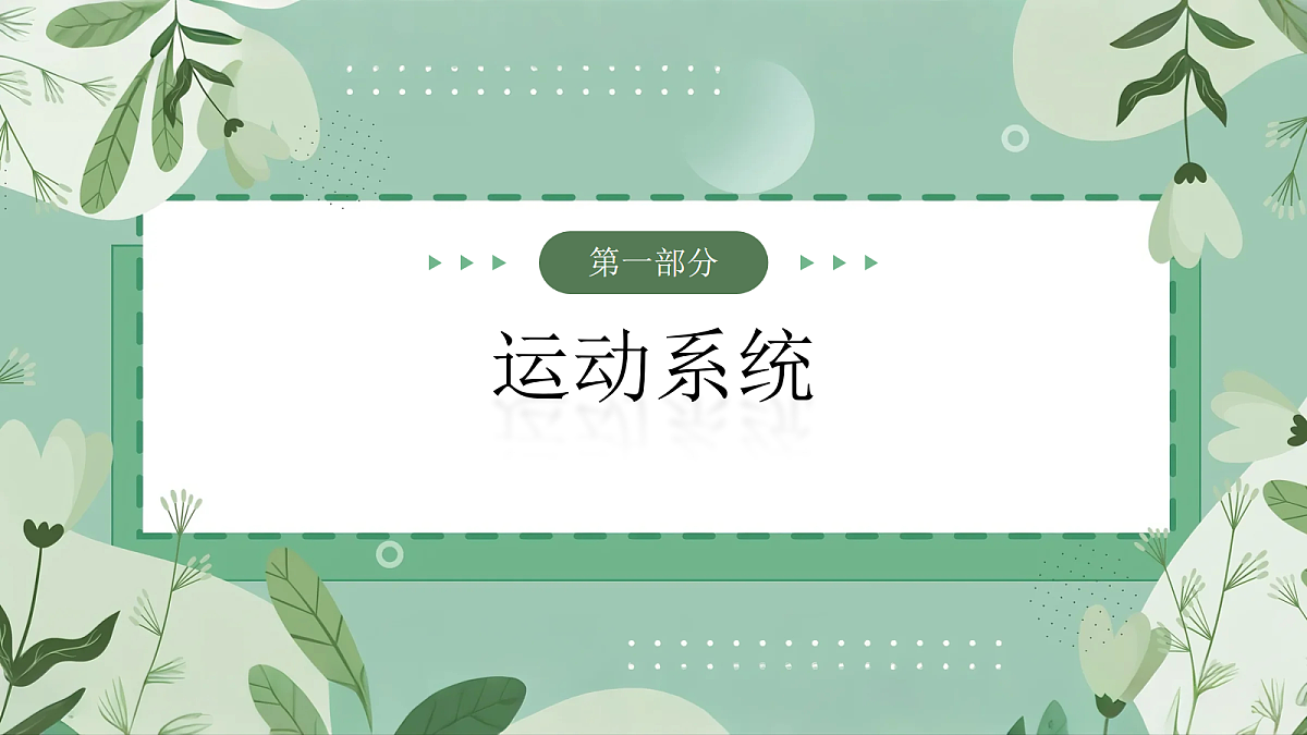 17254982第4页