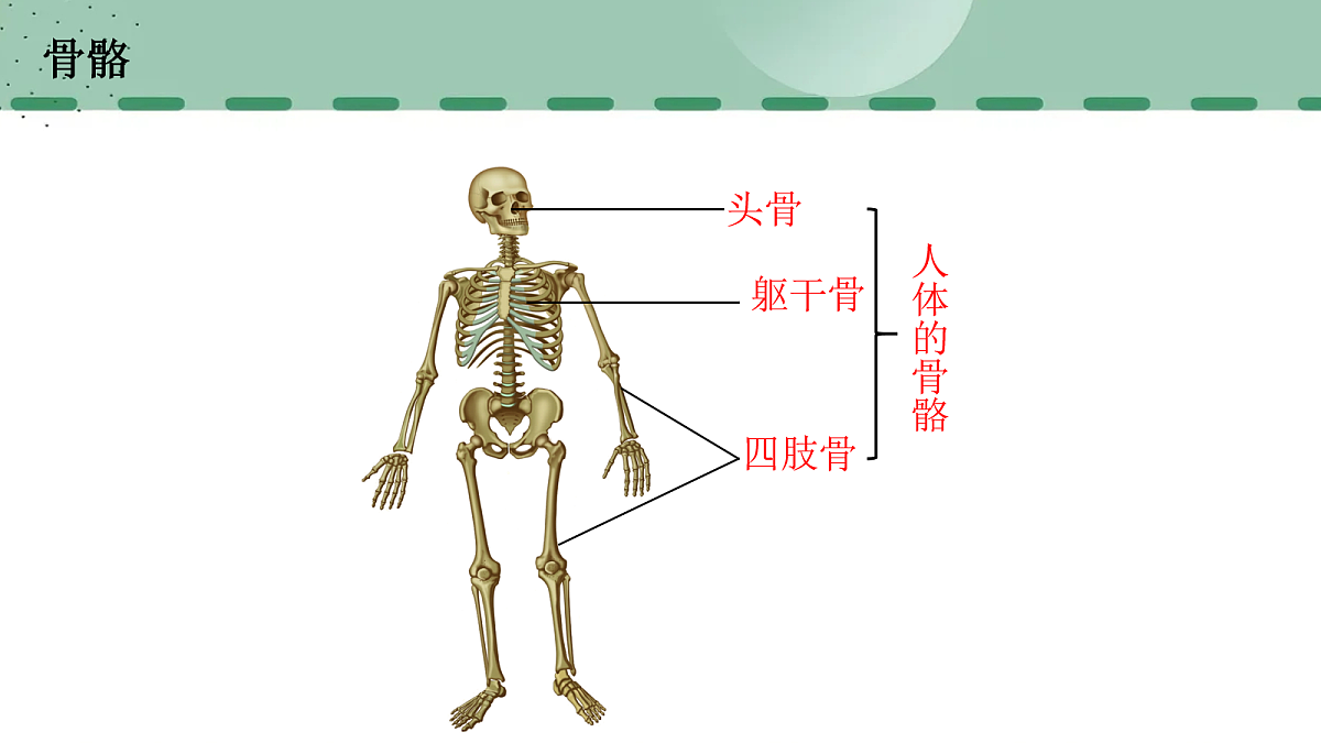 17254982第6页