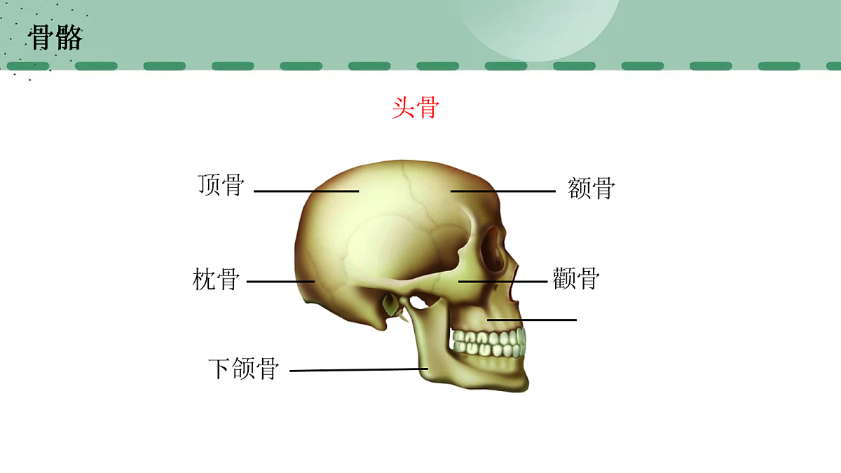 17254982第7页