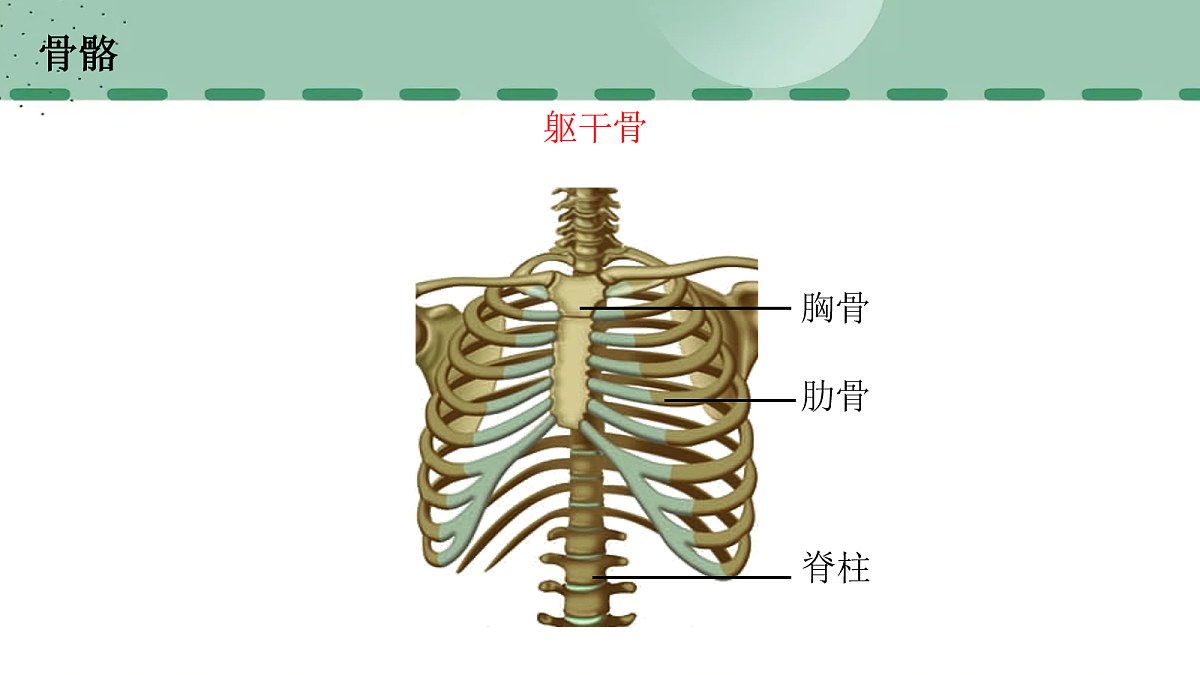 17254982第8页