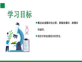 【核心素养目标】苏教版初中生物八年级上册5.13.2《血液循环》课件
