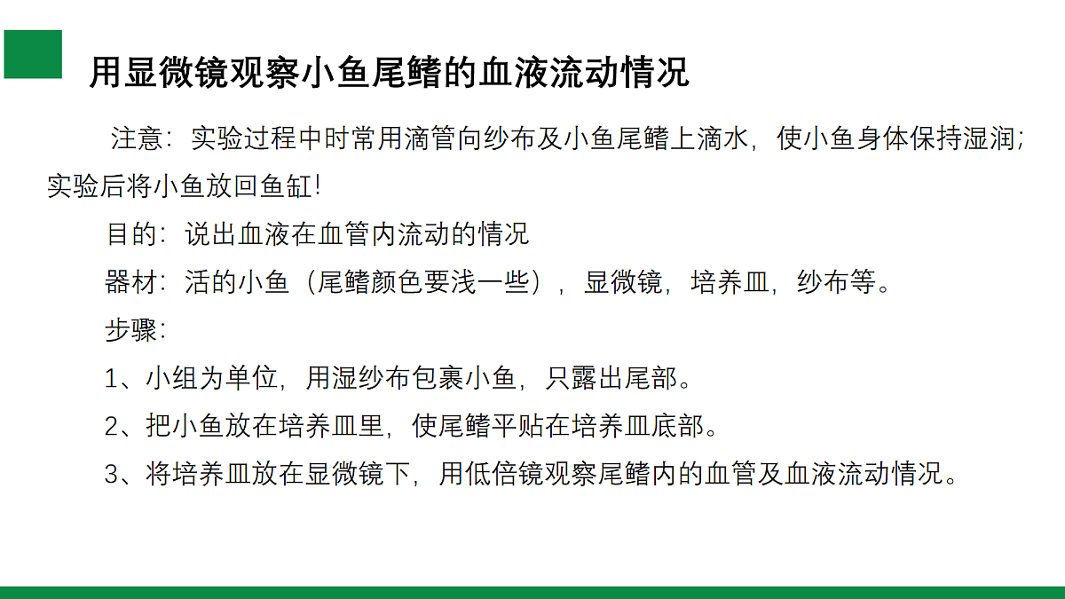 17254992第5页