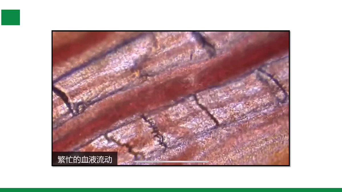 17254992第7页
