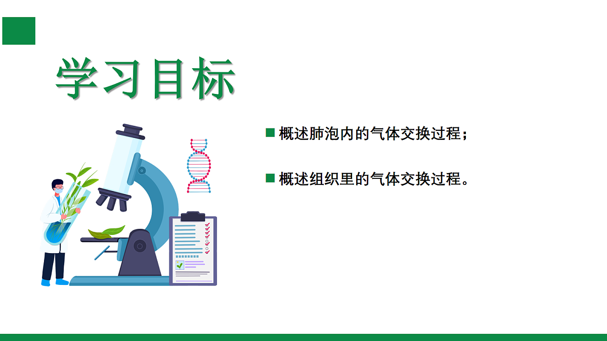17254996第3页